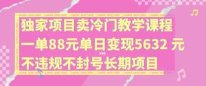 独家项目卖冷门教学课程一单88元单日变现5632元违规不封号长期项目【揭秘】-小鸿资源库