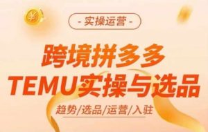 跨境拼多多TEMU实操与选品，多多temu跨境选品运营实操-小鸿资源库