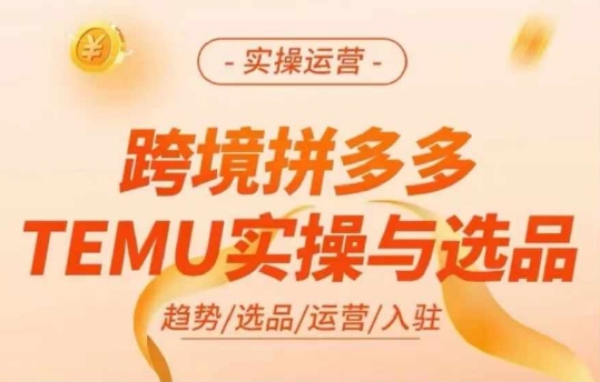 跨境拼多多TEMU实操与选品，多多temu跨境选品运营实操-小鸿资源库