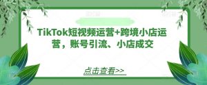 TikTok短视频运营+跨境小店运营,账号引流、小店成交-小鸿资源库