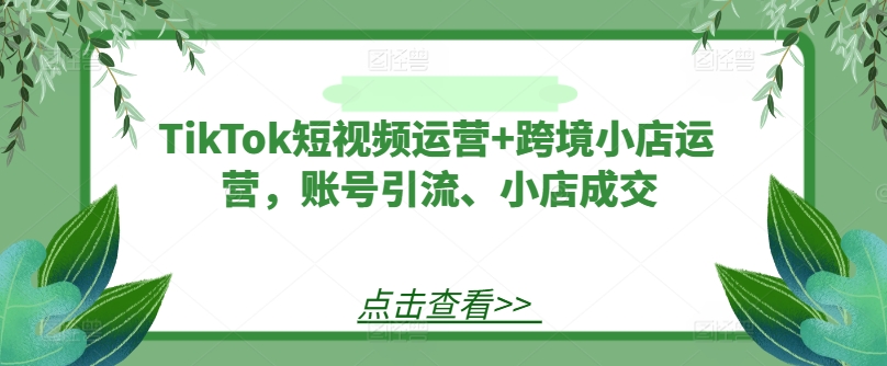 TikTok短视频运营+跨境小店运营，账号引流、小店成交-小鸿资源库