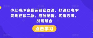 小红书IP变现运营私教课，打通红书IP变现任督二脉，底层逻辑、实操方法、战训结合-小鸿资源库
