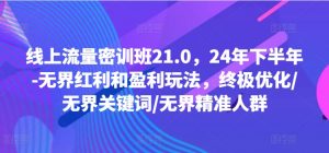 线上流量密训班21.0，24年下半年-无界红利和盈利玩法，终极优化/无界关键词/无界精准人群-小鸿资源库