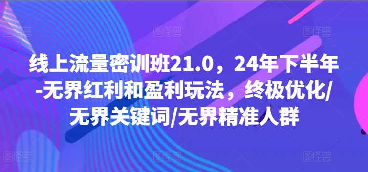 线上流量密训班21.0，24年下半年-无界红利和盈利玩法，终极优化/无界关键词/无界精准人群-小鸿资源库