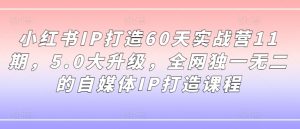 小红书IP打造60天实战营11期，5.0大升级，全网独一无二的自媒体IP打造课程-小鸿资源库