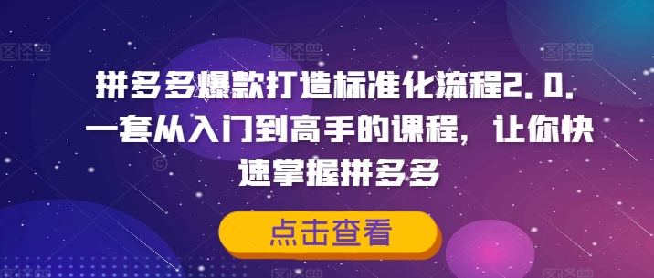 拼多多爆款打造标准化流程2.0,一套从入门到高手的课程,让你快速掌握拼多多-小鸿资源库