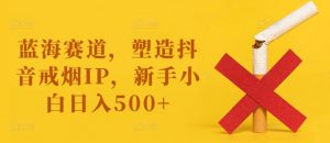 蓝海赛道，塑造抖音戒烟IP，新手小白日入500+【揭秘】-小鸿资源库