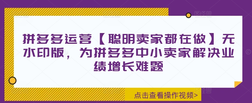 拼多多运营【聪明卖家都在做】无水印版，为拼多多中小卖家解决业绩增长难题-小鸿资源库