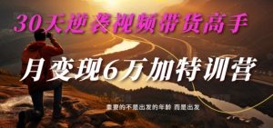 30天逆袭视频带货高手,单月变现6万加特训营-麦子甜-小鸿资源库