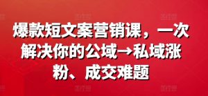 爆款短文案营销课，一次解决你的公域→私域涨粉、成交难题-小鸿资源库