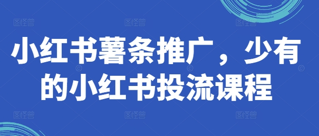 小红书薯条推广，少有的小红书投流课程-小鸿资源库