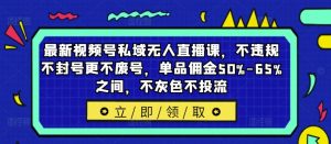 最新视频号私域无人直播课，不违规不封号更不废号，单品佣金50%-65%之间，不灰色不投流-小鸿资源库