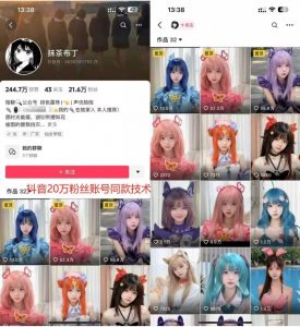 云天二次元美女起号教学，月涨10万粉丝，不判搬运-小鸿资源库