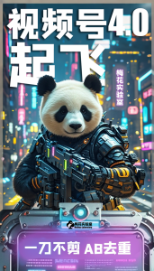 梅花实验窒微信视频号连怼玩法技巧起飞4.0一键AB破解版【揭秘】-小鸿资源库