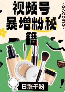视频号涨粉方法，暴力起号，一天涨粉1000+，当天开橱窗【揭秘】-小鸿资源库