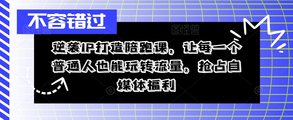 逆袭IP打造陪跑课，让每一个普通人也能玩转流量，抢占自媒体福利-小鸿资源库