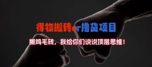 得物搬砖撸货项目?掰下数据,我给你们说说顶层思维【揭秘】-小鸿资源库