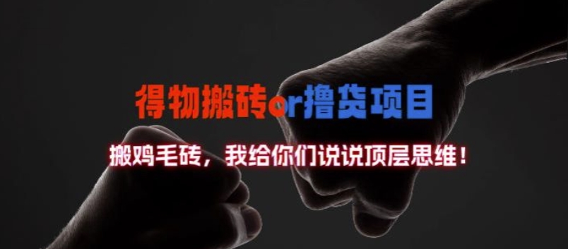 得物搬砖撸货项目?掰下数据,我给你们说说顶层思维【揭秘】-小鸿资源库
