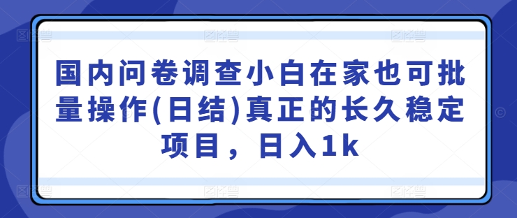 国内问卷调查小白在家也可批量操作(日结)真正的长久稳定项目，日入1k【揭秘】-小鸿资源库
