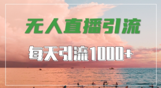 抖音快手视频号全平台通用，无人直播引流法，超暴力引流1000+高质量精准创业粉【揭秘】-小鸿资源库