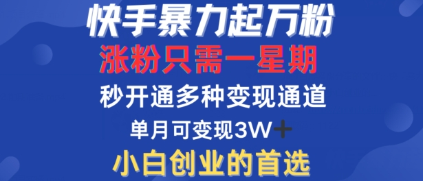 快手暴力起万粉，涨粉只需一星期，多种变现模式，直接秒开万合，单月变现过W【揭秘】-小鸿资源库