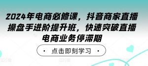2024年电商必修课，抖音商家直播操盘手进阶提升班，快速突破直播电商业务停滞期-小鸿资源库