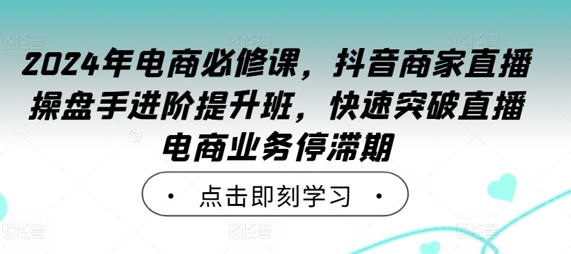 2024年电商必修课，抖音商家直播操盘手进阶提升班，快速突破直播电商业务停滞期-小鸿资源库
