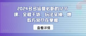 2024多多运营必听的12节课,全程干货,玩法实操,爆款方案尽在掌握-小鸿资源库