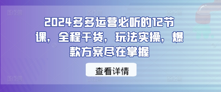 2024多多运营必听的12节课,全程干货,玩法实操,爆款方案尽在掌握-小鸿资源库