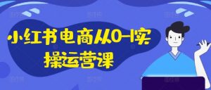 小红书电商从0-1实操运营课，小红书手机实操小红书/IP和私域课/小红书电商电脑实操板块等-小鸿资源库