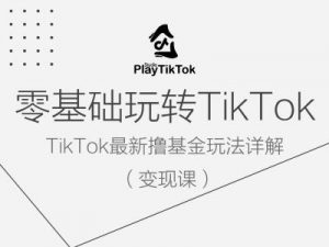 零基础玩转TiKToK变现课，TikTok最新撸基金玩法详解-小鸿资源库