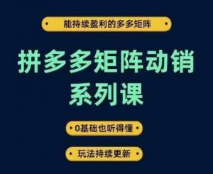拼多多矩阵动销系列课，能持续盈利的多多矩阵，0基础也听得懂，玩法持续更新-小鸿资源库