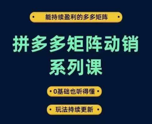 拼多多矩阵动销系列课，能持续盈利的多多矩阵，0基础也听得懂，玩法持续更新-小鸿资源库