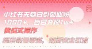 小红书无脑每日引流创业粉500+，小白每天只花半小时，躺赚长尾收益【揭秘】-小鸿资源库
