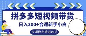 拼多多短视频带货日入300+有长期稳定被动收益，合适新手小白【揭秘】-小鸿资源库