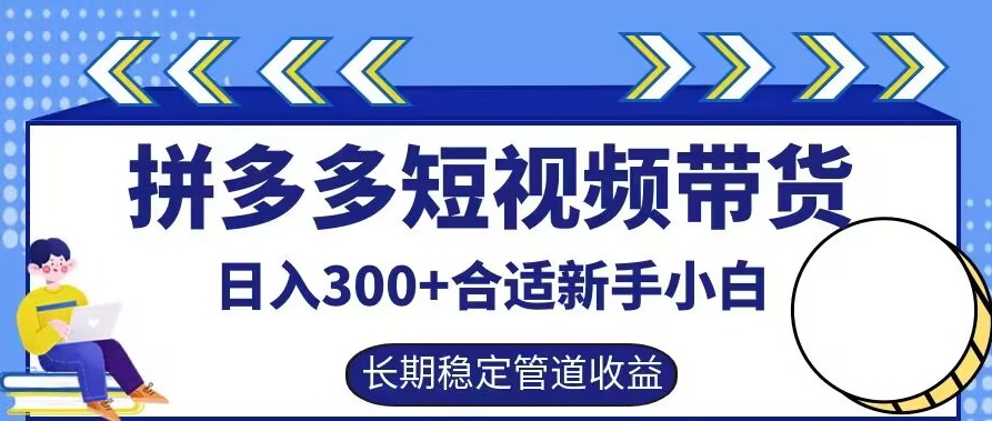 拼多多短视频带货日入300+有长期稳定被动收益，合适新手小白【揭秘】-小鸿资源库