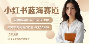 小红书蓝海赛道，圈中高端职场人，月入无上限，可矩阵，内含私域实操教程!-小鸿资源库