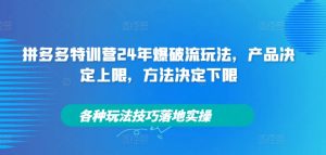拼多多特训营24年爆破流玩法，产品决定上限，方法决定下限，各种玩法技巧落地实操-小鸿资源库