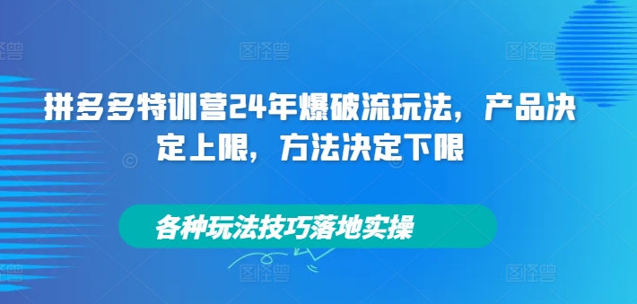 拼多多特训营24年爆破流玩法,产品决定上限,方法决定下限,各种玩法技巧落地实操-小鸿资源库