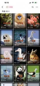 动物科普解说项目，撸创作者伙伴计划收益，保姆级实战教程-小鸿资源库