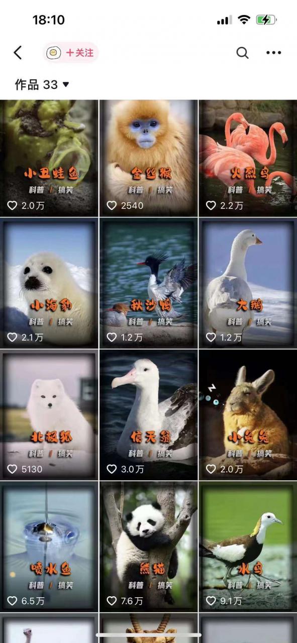 动物科普解说项目,撸创作者伙伴计划收益,保姆级实战教程-小鸿资源库