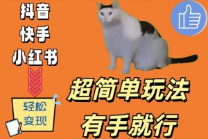 超简单玩法,有手就行,靠猫咪视频日入500+【揭秘】-小鸿资源库