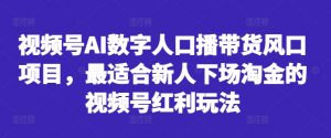 视频号AI数字人口播带货风口项目，最适合新人下场淘金的视频号红利玩法-小鸿资源库