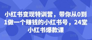 小红书变现特训营，带你从0到1做一个赚钱的小红书号，24堂小红书爆款课-小鸿资源库