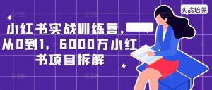小红书实战训练营，从0到1，6000万小红书项目拆解-小鸿资源库