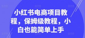 小红书电商项目教程,保姆级教程,小白也能简单上手-小鸿资源库
