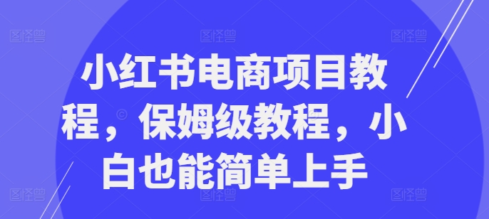 小红书电商项目教程,保姆级教程,小白也能简单上手-小鸿资源库