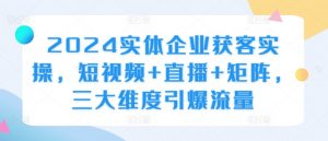 2024实体企业获客实操，短视频+直播+矩阵，三大维度引爆流量-小鸿资源库