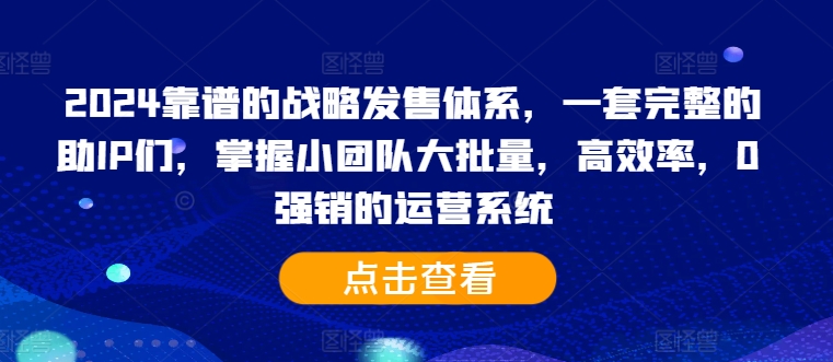 2024靠谱的战略发售体系,一套完整的助IP们,掌握小团队大批量,高效率,0 强销的运营系统-小鸿资源库