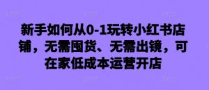 新手如何从0-1玩转小红书店铺,无需囤货、无需出镜,可在家低成本运营开店-小鸿资源库